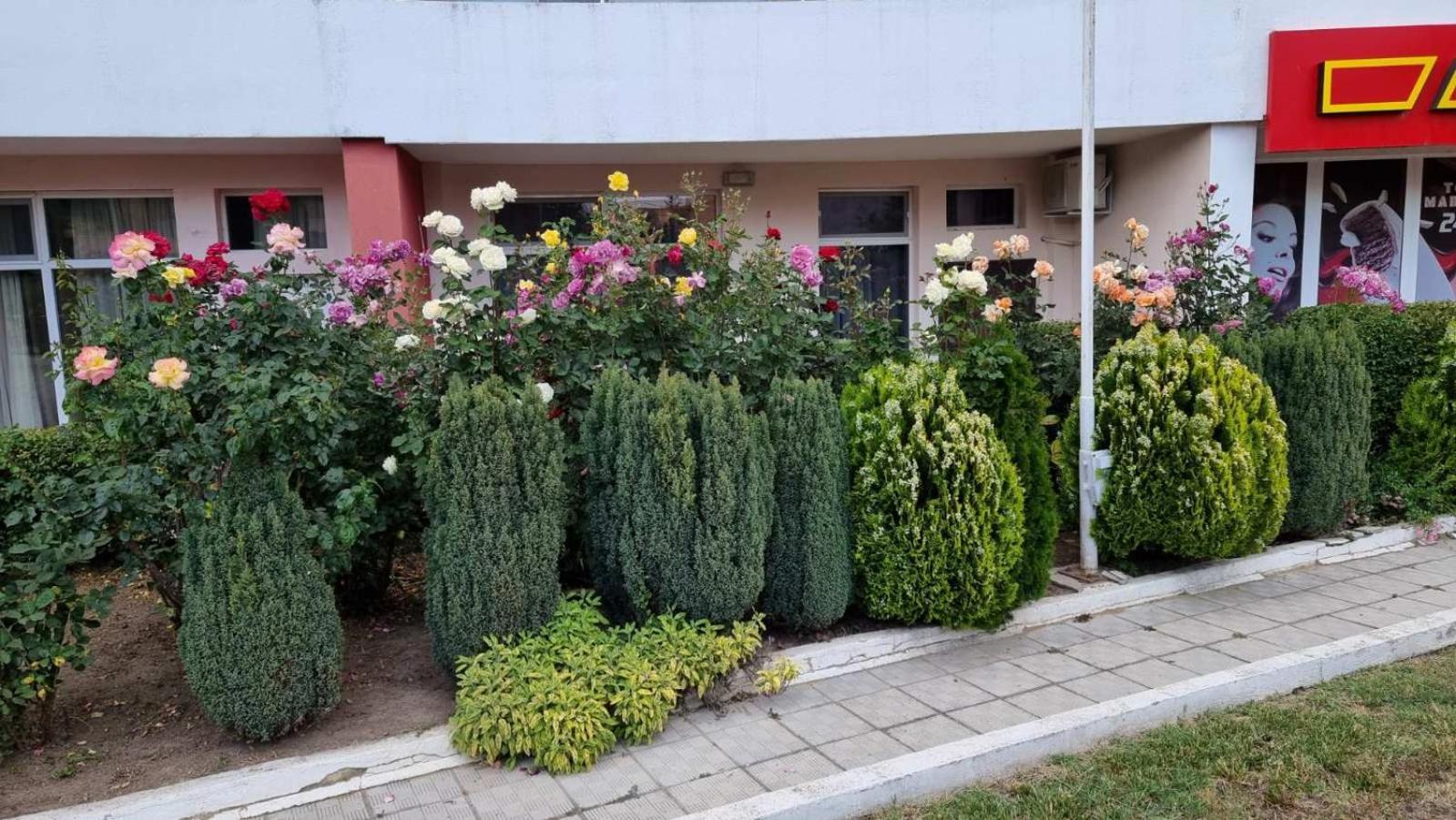 Луксозно студио Нани Кранево Экстерьер фото